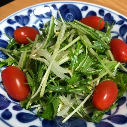 ミニトマトをプラスして作りました☆
水菜のサラダは好きでよく食べるのですが、シーザーサラダドレッシングが定番だったので、新しい味に出会えました^_^